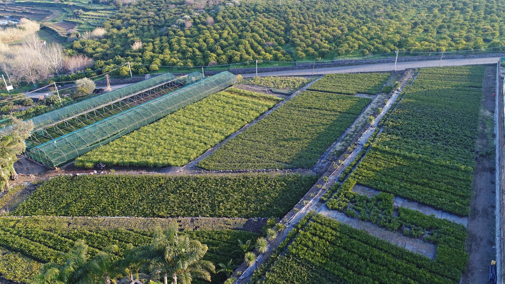 DJI 0021